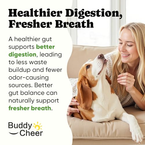 BuddyCheer Probiotics for Dogs – Helps Digestion, Loose Stools, Gas & Sensitive Stomachs, Probiotics for Itchy Skin & Dog Yeast Infection, Immune & Fresher Breath with 4 Prebiotics & 5 Digestive Enzymes – 180 ct - Image 5