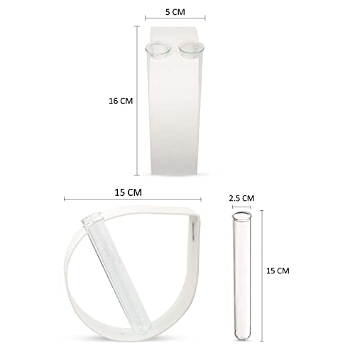 iCraft Wall Mounted Metal Ring and Two Test Tube Planters Connected with Metal Studd | Durable Wall Hanging Planter for Home, Office, Room, Outdoors, Indoors (White), Small - Image 2
