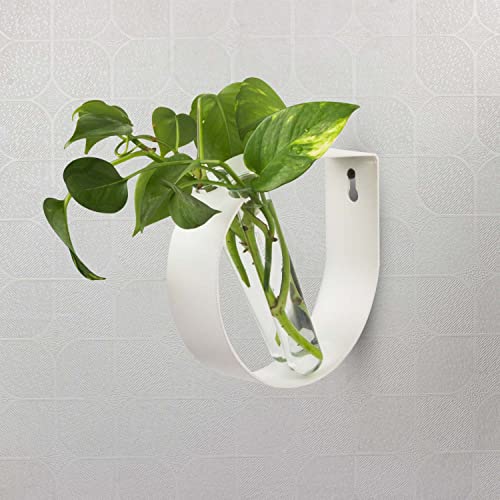 iCraft Wall Mounted Metal Ring and Two Test Tube Planters Connected with Metal Studd | Durable Wall Hanging Planter for Home, Office, Room, Outdoors, Indoors (White), Small - Image 4