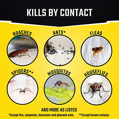 Black Flag Concentrated Fogger, 6 Count-1.25 Ounce Cans, Indoor Insecticide, 1 Pack - Image 4