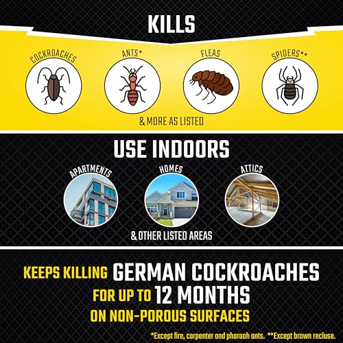 Black Flag Concentrated Fogger, 6 Count-1.25 Ounce Cans, Indoor Insecticide, 1 Pack - Image 3