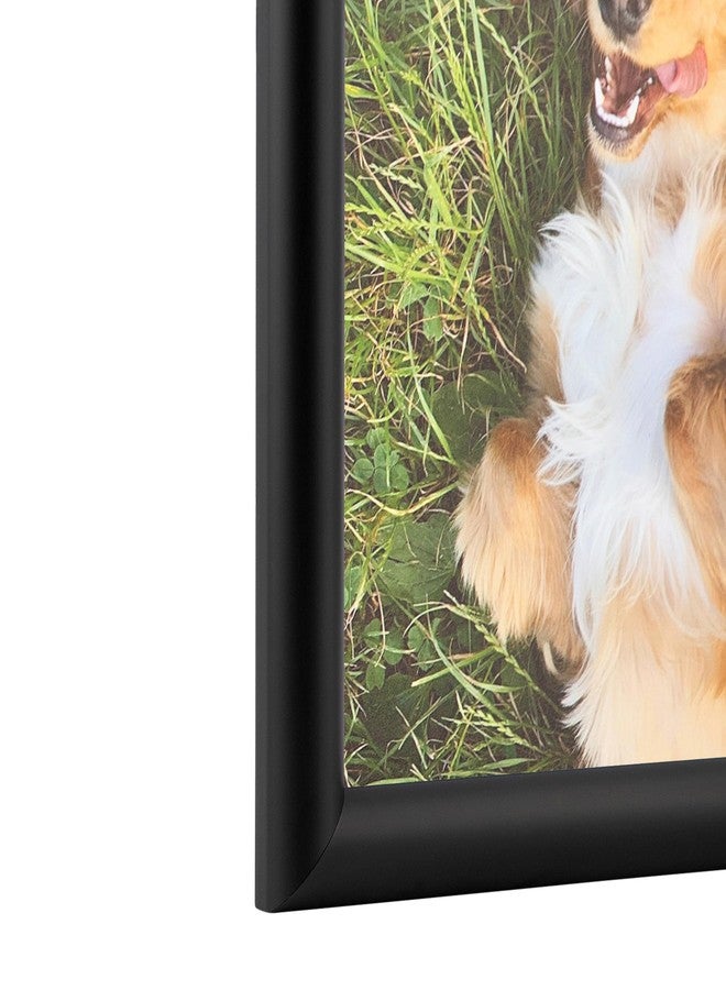ArtToFrames 9x15 inch 1.25 Satin Black Bull Nose Wood Picture Frame, 2WOM10025-9x15 - Image 5