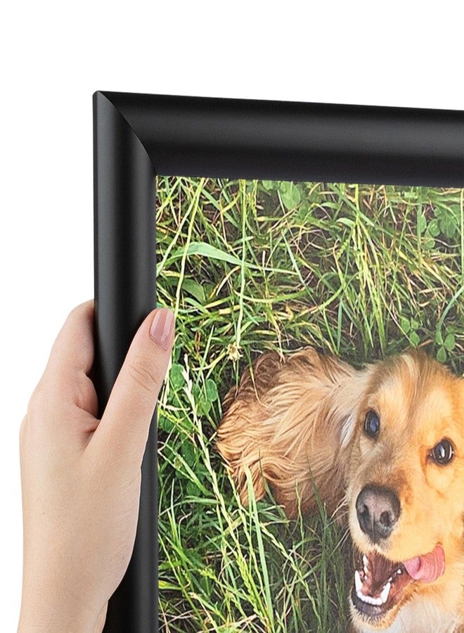ArtToFrames 9x15 inch 1.25 Satin Black Bull Nose Wood Picture Frame, 2WOM10025-9x15 - Image 1