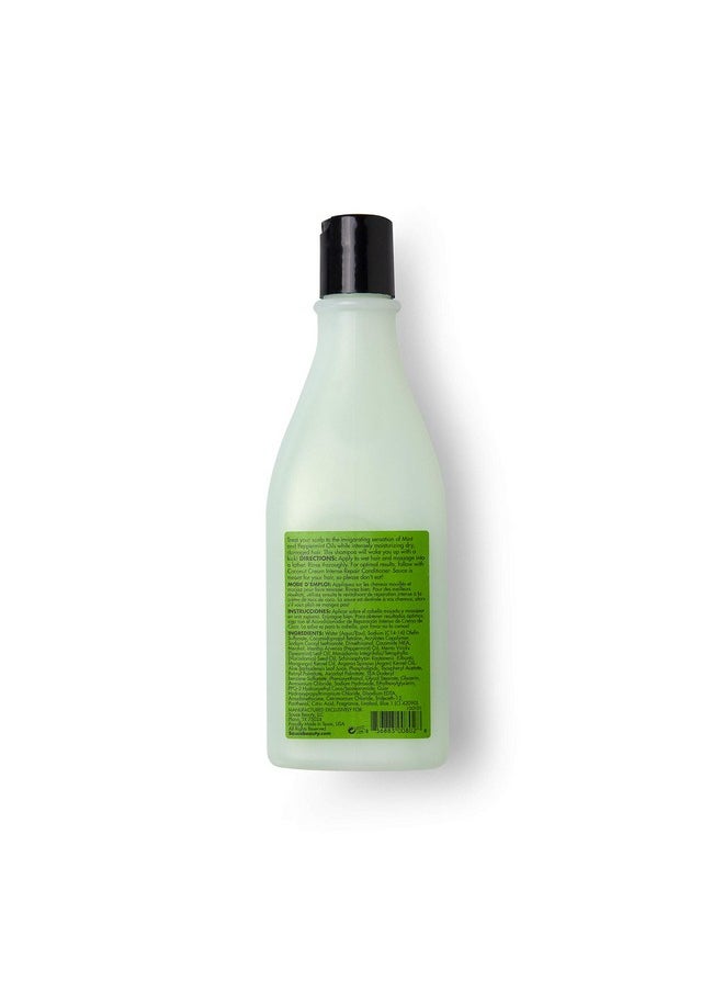 Sauce Beauty - Intense Repair Shampoo Chimichurri Mint Tingle Hair Repair Shampoo Hydrating Shampoo For Damaged Hair Paraben And Sulfatefree Hair Shampoo With Argan & Peppermint Oil (10 Fl Oz) - Image 1