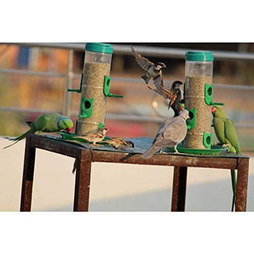 SpikeZone - Bird Feeder Hanging Grill, Bird Feeder for Balcony, Outdoor Bird Feeder (Green, Transparent Pack of 2 Pcs) - Image 2
