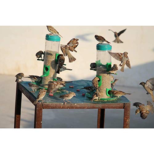 SpikeZone - Bird Feeder Hanging Grill, Bird Feeder for Balcony, Outdoor Bird Feeder (Green, Transparent Pack of 2 Pcs) - Image 3