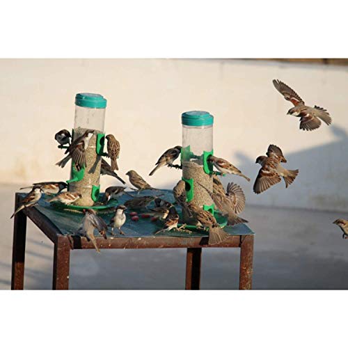 SpikeZone - Bird Feeder Hanging Grill, Bird Feeder for Balcony, Outdoor Bird Feeder (Green, Transparent Pack of 2 Pcs) - Image 4