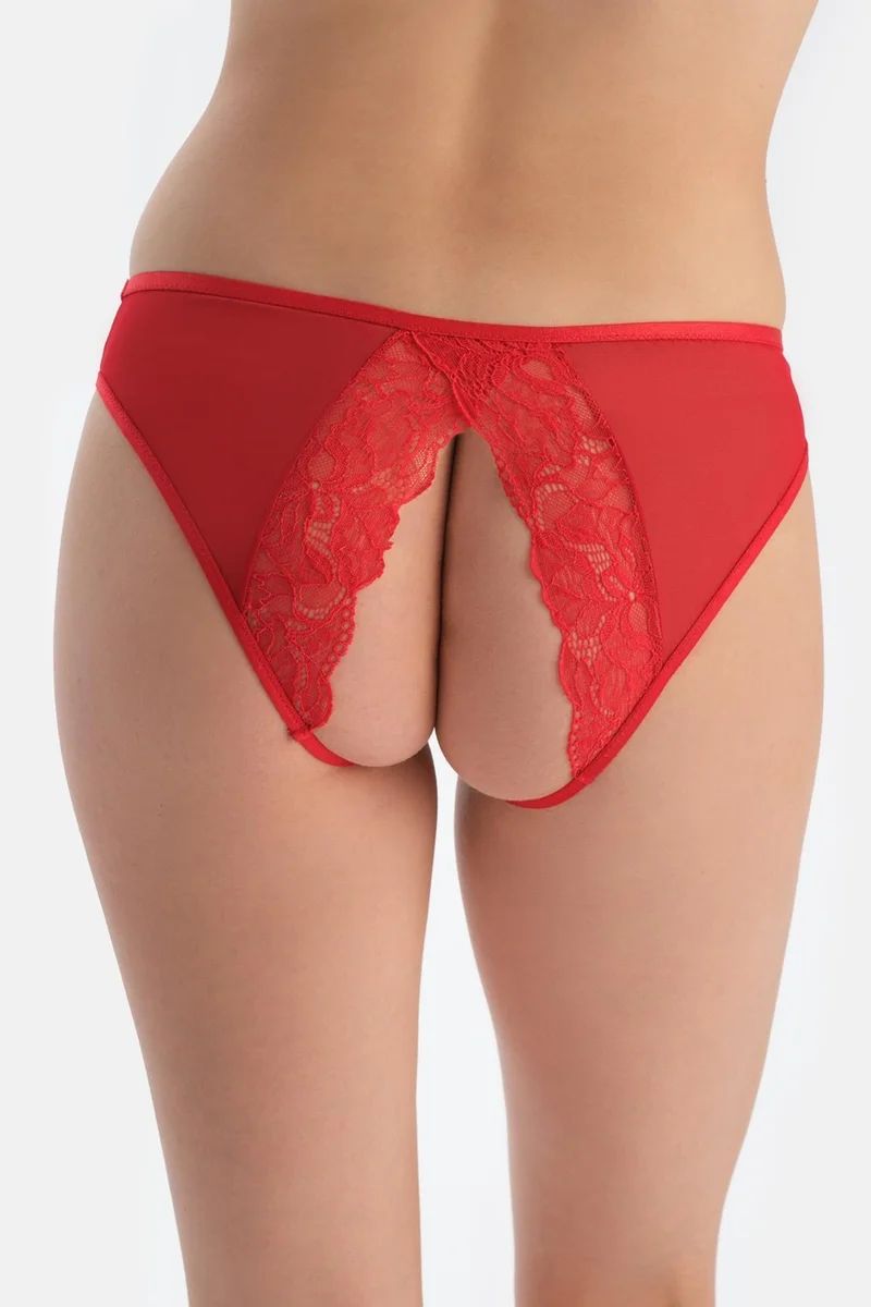 dagi Red Window Detail Lace and Tulle Briefs