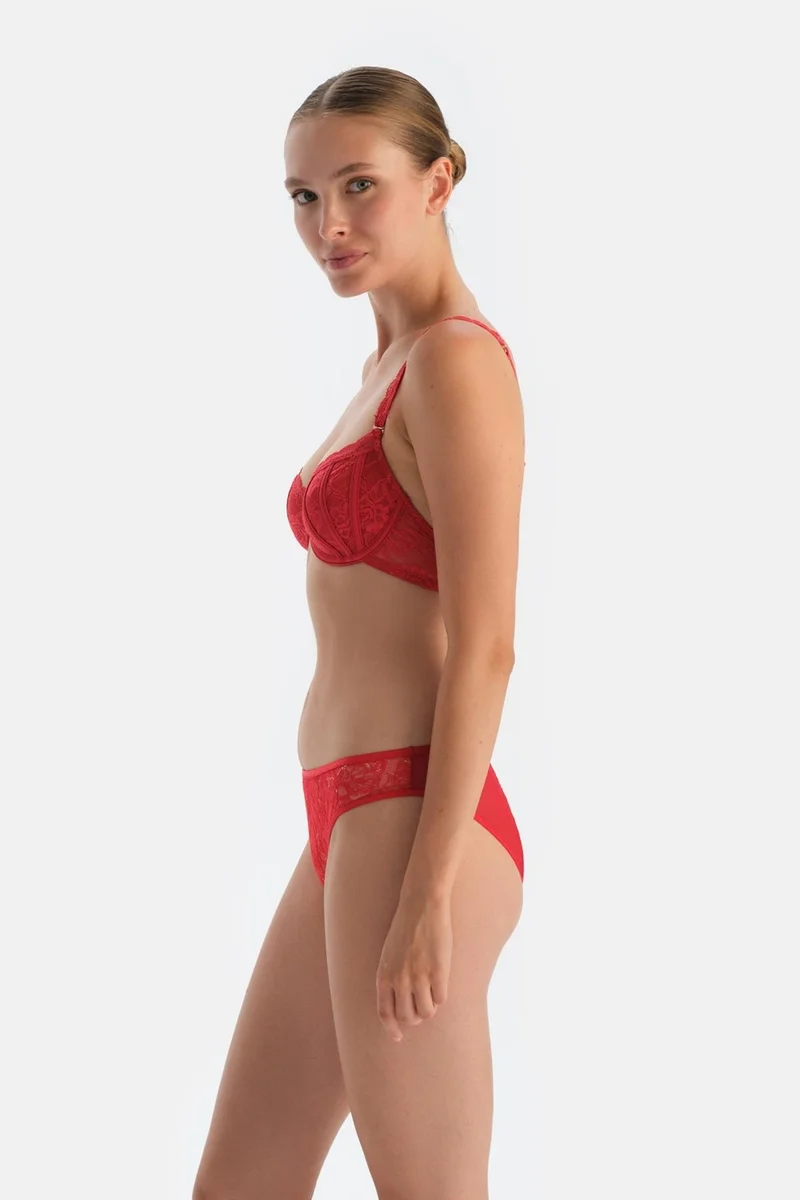 dagi Red Window Detail Lace and Tulle Briefs