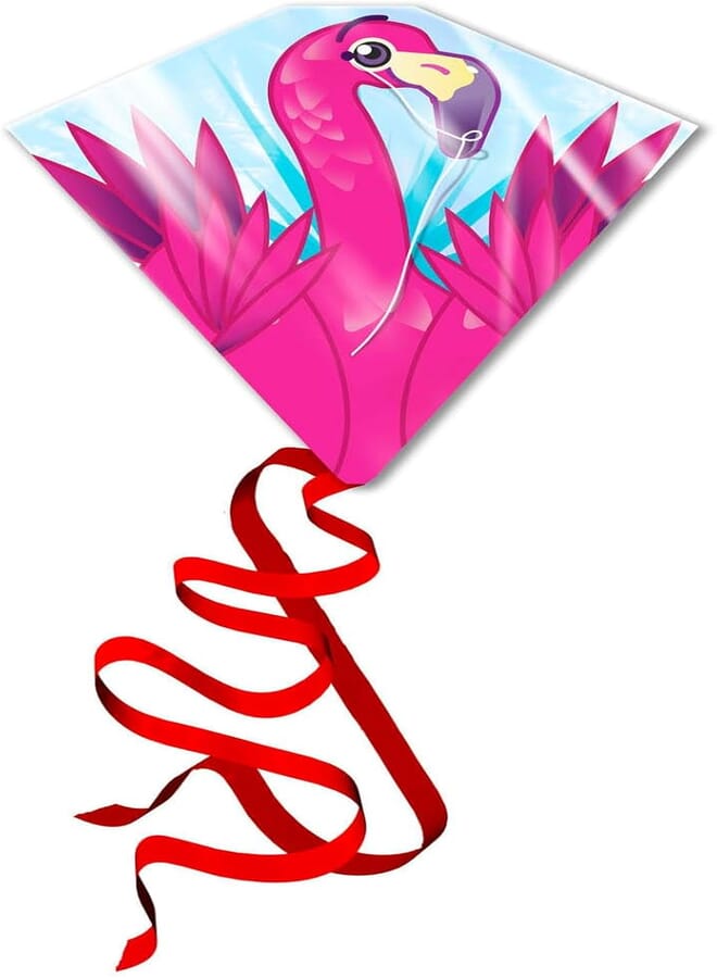 Eolo kite's ready 2 fly - flamingo