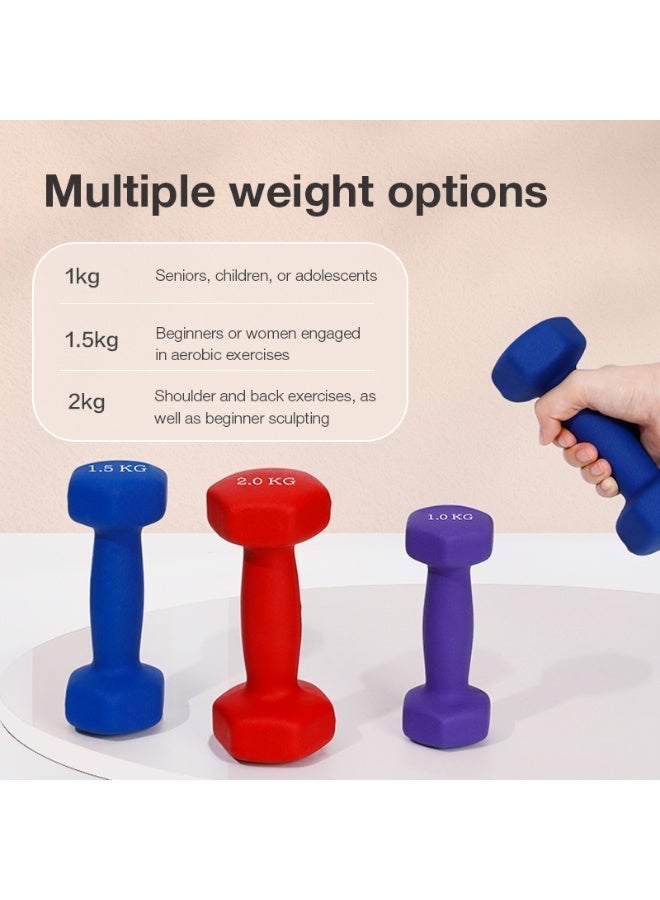 Agnite ER081 Neoprene Dumbbell Single 1Kg 2 pieces, Solid Cast Iron Hand Weights With Non-Slip Grip, Hexagonal Design For Home Workouts, Strength Training & Fitness, Purple Color. - Image 4