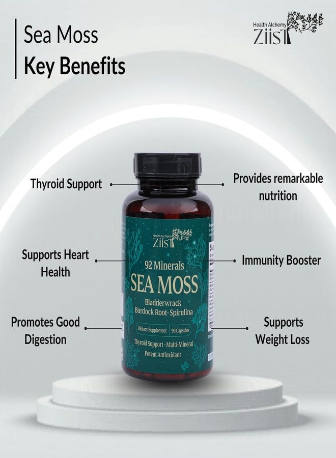 Ziist Wildcrafted Sea Moss Supplement – 90 Veg Capsules | With Bladderwrack, Burdock Root & Spirulina | Natural Superfood for Energy & Immunity - Image 5