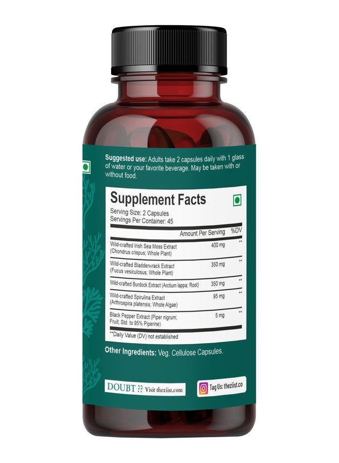 Ziist Wildcrafted Sea Moss Supplement – 90 Veg Capsules | With Bladderwrack, Burdock Root & Spirulina | Natural Superfood for Energy & Immunity - Image 2