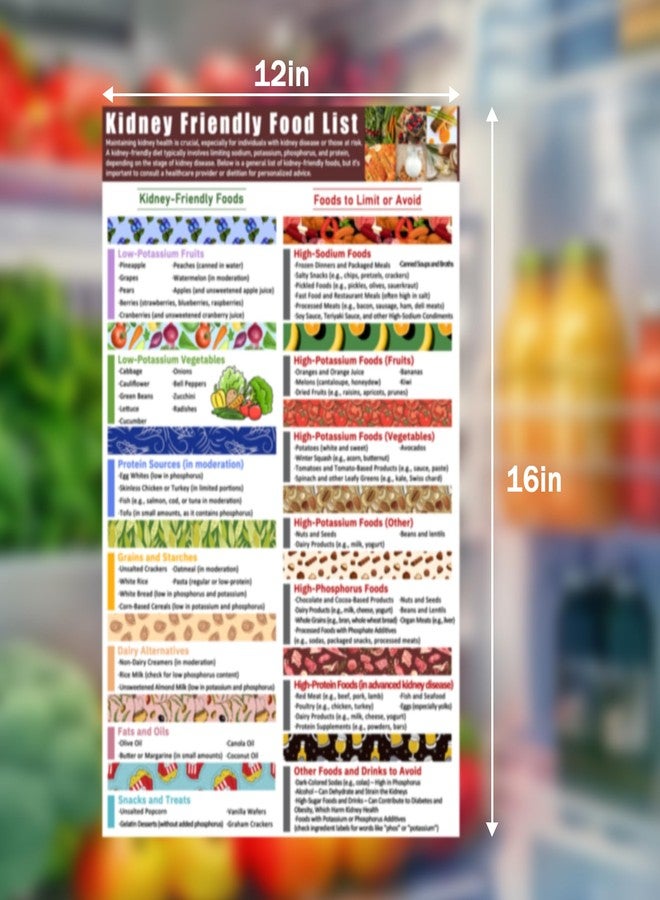 Blirik Magnetic Kidney Friendly Food List Poster,Kidney Awareness, Kidney Diet List Magnetic Fridge, Low Potassium, Grocery List, Beginner Kidney Diet Plan For Kitchen-16 x12 inches - Image 2