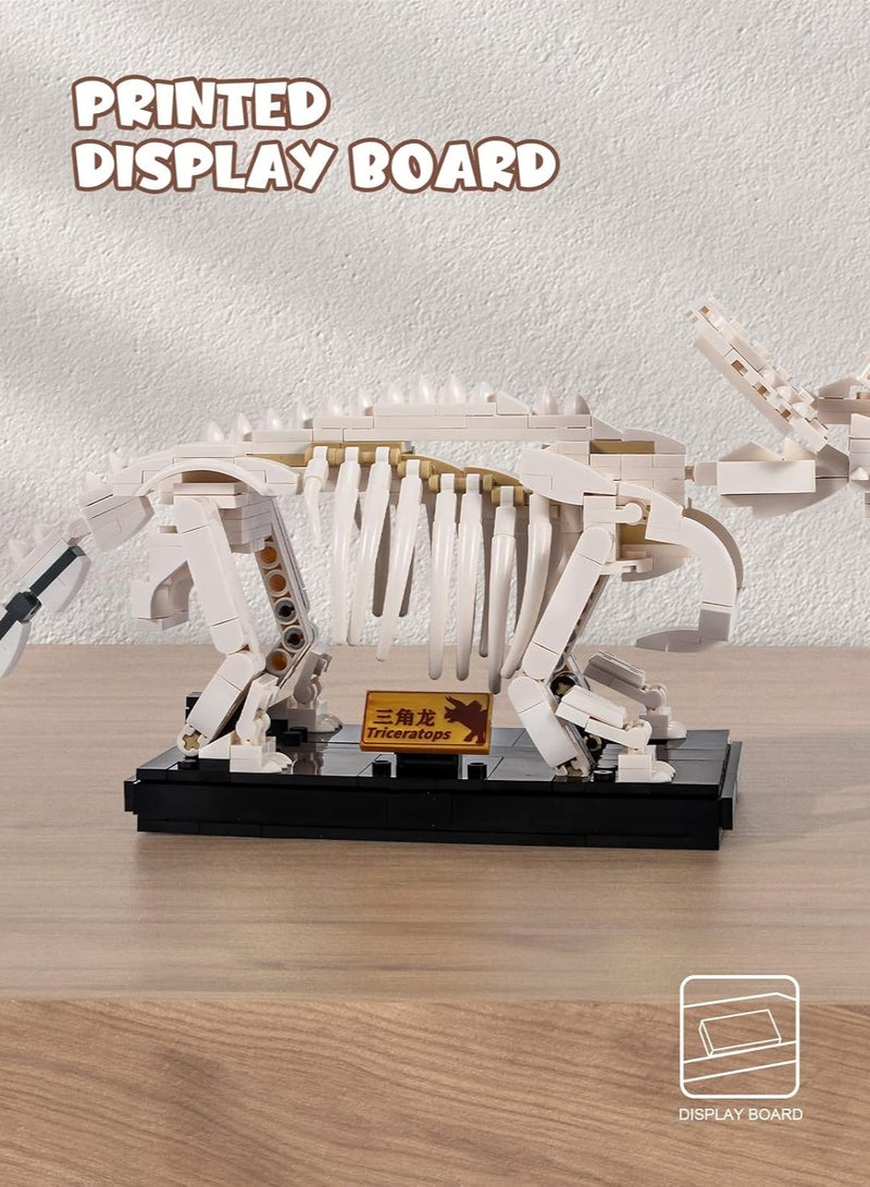 This 398-piece Triceratops skeleton building block is suitable for children 6 years and older and offers a fun challenge for building and puzzle enthusiasts. Its precise design helps develop manual skills and concentration, and adds a distinctive decorative touch. - Image 3