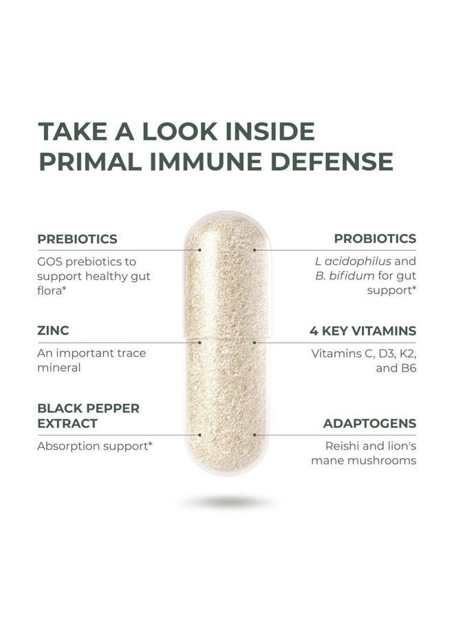 Primal Harvest Primal Immune Defense 10-in-1 Immune Defense Supplement: with 7 Billion CFU Probiotics, Zinc, Vitamins C, B6, D3, K2 - Immune Boosters for Adults 60 Capsules (1 Pack)  - Image 4