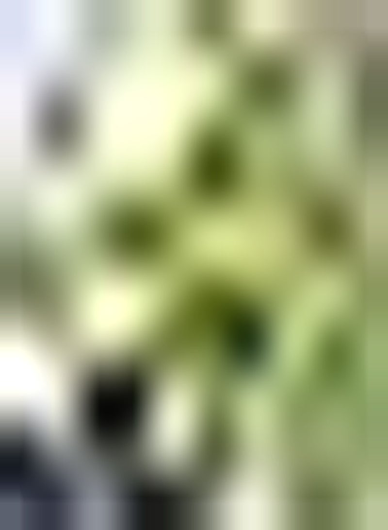 جي جوت 100 قطعة من بذور الطماطم لا تحتاج إلى الكثير من العناية، نباتات الحديقة التي يحبها الأطفال، تزرع الاهتمام بالزراعة، تخلق بيئة جميلة، ديكور فني - Image 3