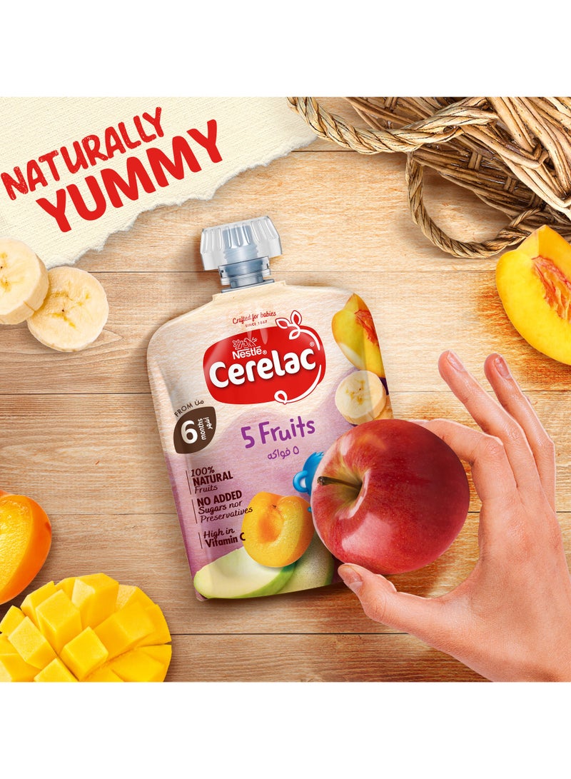 Cerelac Fruits Puree Pouch In 5 Fruits 16 x 90g - Image 2