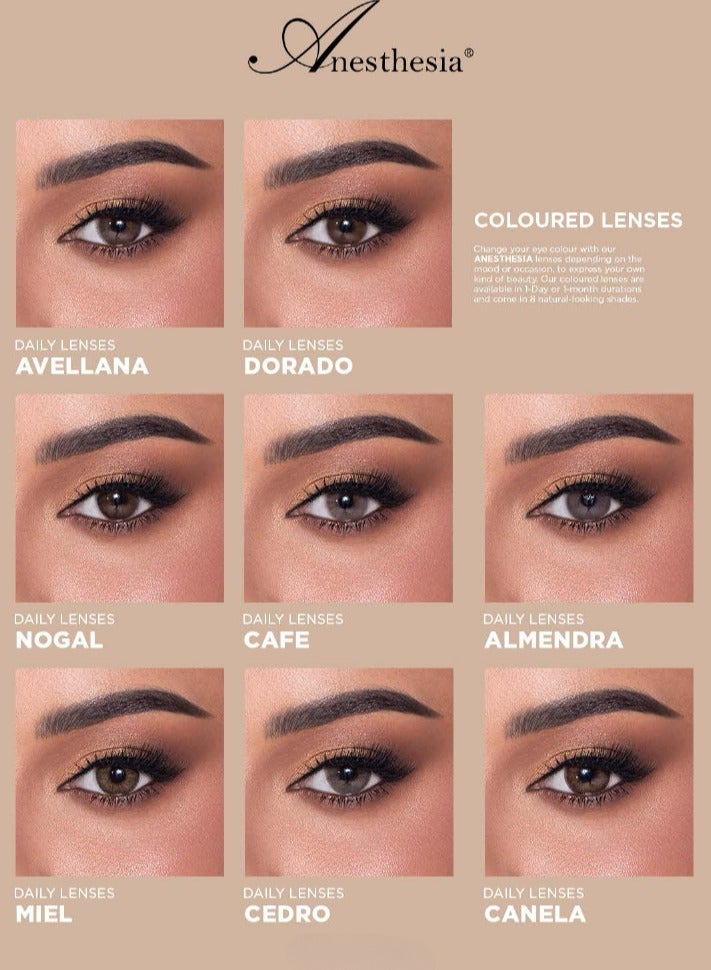 أنستازيا عدسات أنستازيا وانس اللاصقة الملونة اليومية -دورادو - Image 5