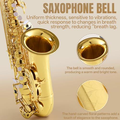 Kmise E Flat Alto Saxophone, Lightweight Saxophones for Students Beginner, Saxofon Full Kit with Portable Case, Sax Stand, Strap, Reeds, Beginner's Guides, Mute, Cleaning Kit (Gold Lacquer) - Image 4