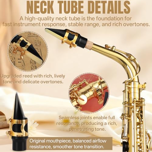 Kmise E Flat Alto Saxophone, Lightweight Saxophones for Students Beginner, Saxofon Full Kit with Portable Case, Sax Stand, Strap, Reeds, Beginner's Guides, Mute, Cleaning Kit (Gold Lacquer) - Image 3