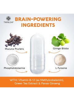 TWINLEAF Dopamine Brain Food Natural Supplement, 1000 Mg Blend - Made In Usa - Vitamin B 12, L-Tyrosine To Increase Motivation - Boost Your Mental Drive - 90 Caps  - Image 3