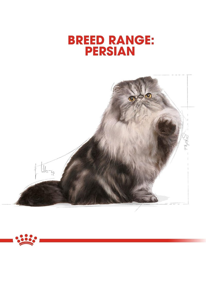 Royal Canin Feline Breed Nutrition Persian Adult 10 KG - Image 5
