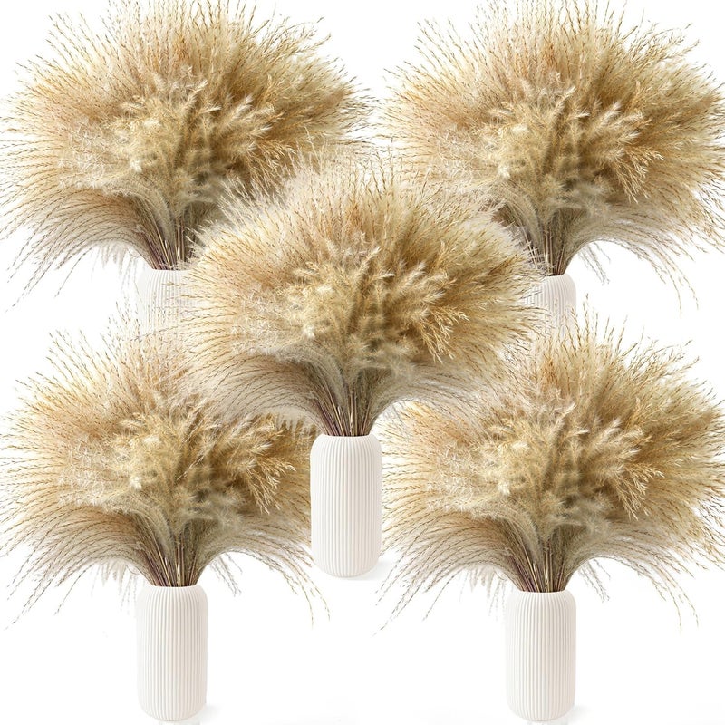 CKBT 450 PCS Exquisite Natural Pampas Grass Decor - Versatile Reed Grasses for Home & Event Decoration, Pompous Fluffy Tall Dried Reed Grass - Perfect for Vases, Wreaths & Table Centerpieces - Image 2