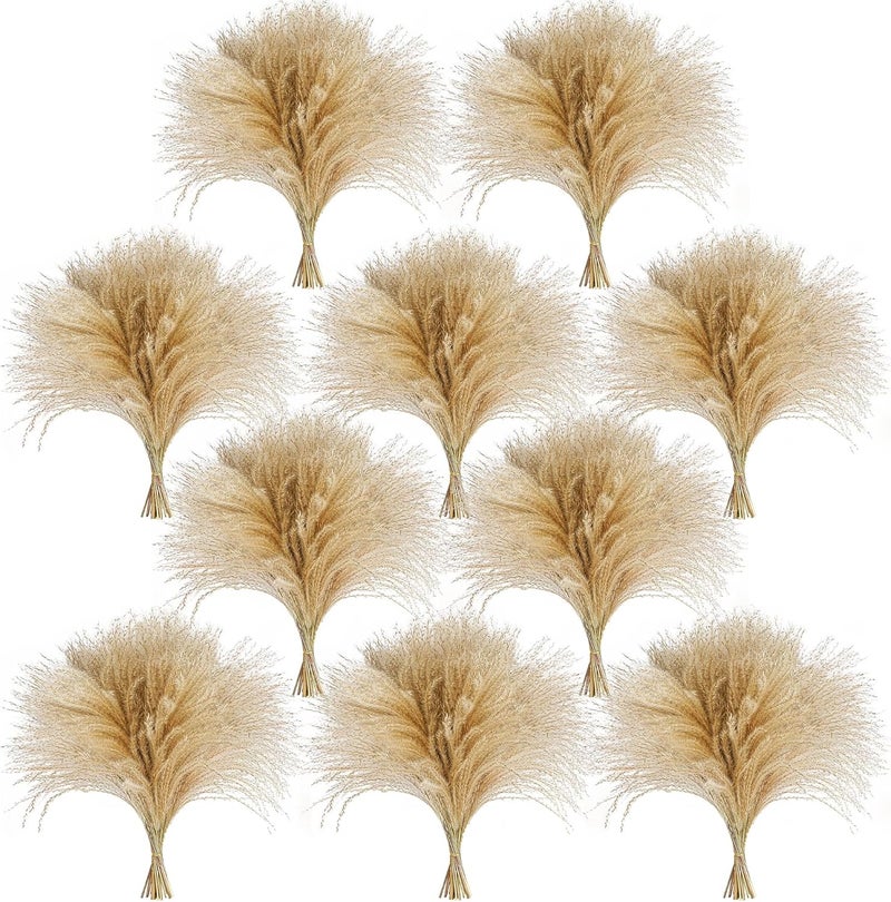 CKBT 450 PCS Exquisite Natural Pampas Grass Decor - Versatile Reed Grasses for Home & Event Decoration, Pompous Fluffy Tall Dried Reed Grass - Perfect for Vases, Wreaths & Table Centerpieces - Image 1