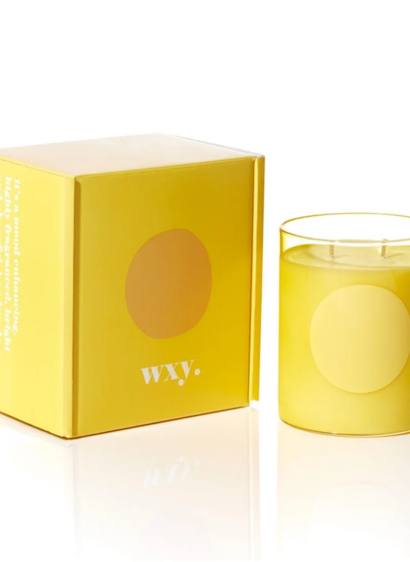 WXY Disco Candle – Orris Root & Amber  Disco Collection  Luxury Scented Candle in Glass Base – Perfect for Gifting