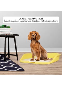MAJIBAO Dog potty tray, Indoor dog training toilet with column design, Detachable grid, and Raised fence, Pet pee pad holder for medium to large-sized breeds, Easy to clean 55 cm (Yellow)  - Image 5