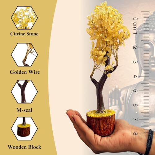 JD FRESH Certified Citrine Money Tree for Wealth/Success/Prosperity/Natural Gemstone Crystal Tree for Positive Energy/Good Luck/Reiki/Vastu/Handcrafted 300 Beads Stone Bonsai Feng Shui Home Décor Gift - Image 3