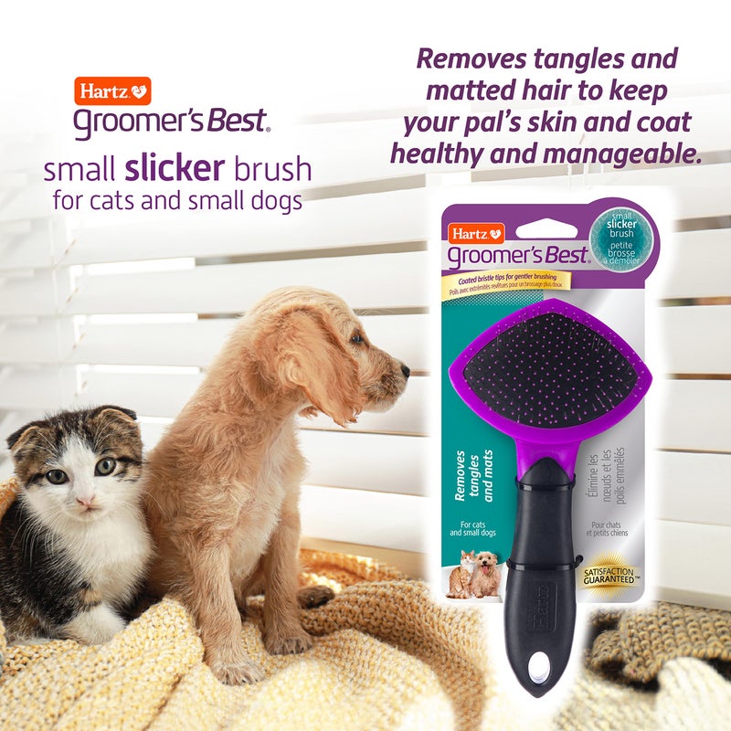 Hartz Groomer's Best Small Slicker Brush for Cats and Small Dogs, Black/Violet, 1 Count - Image 2