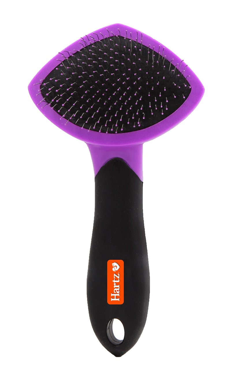 Hartz Groomer's Best Small Slicker Brush for Cats and Small Dogs, Black/Violet, 1 Count - Image 1