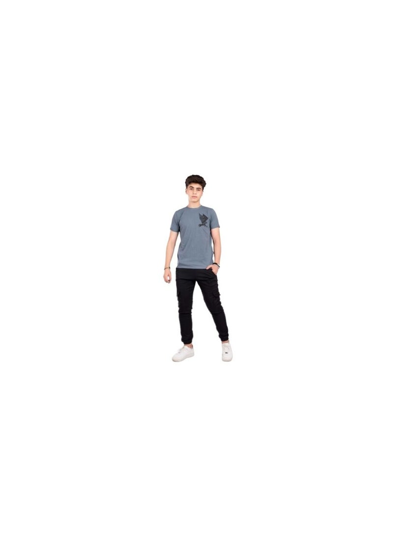 A confusing boy's garamish set consisting of a gray Tshirt and black pants 