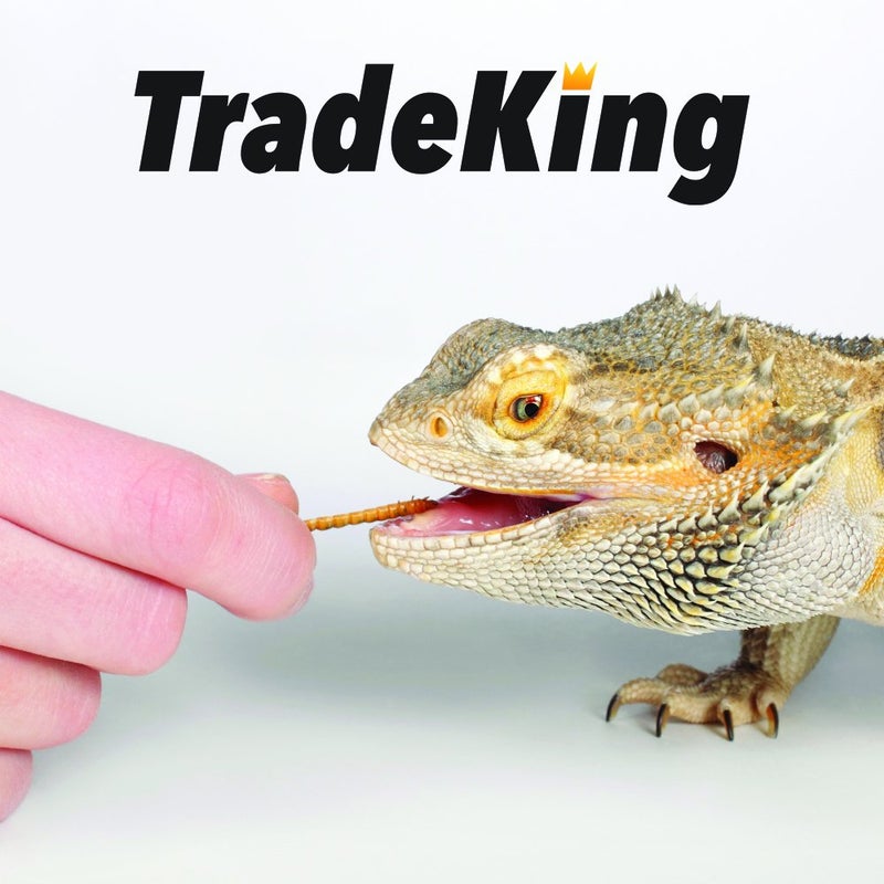 TradeKing 1 lb Dried Mealworms - High Protein Treat for Wild Birds, Chicken, Fish & Reptiles - Image 5