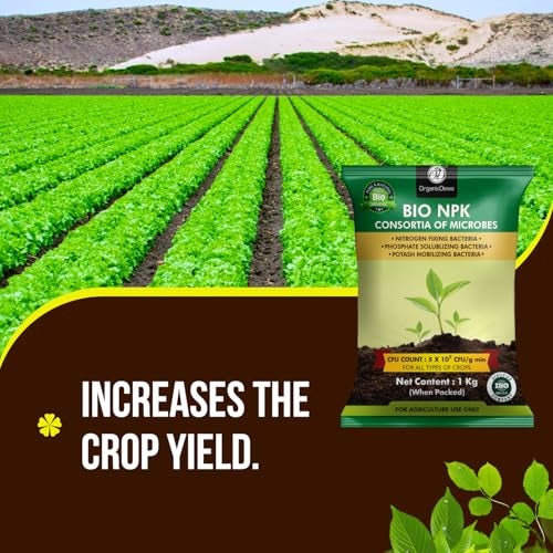 OrganicDews Bio NPK consortia (5x10^7 CFU/g) Bio Inoculum Fertilizer (1 Kg) for Plants - Soil Fertility, Faster Plant Growth and Increases the Yield 1 Kg - Image 4