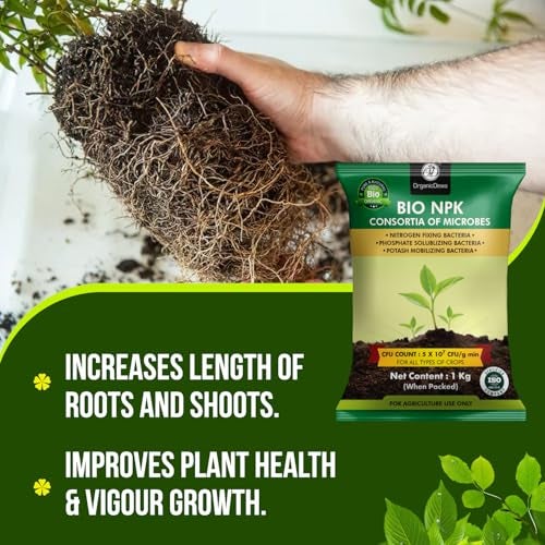 OrganicDews Bio NPK consortia (5x10^7 CFU/g) Bio Inoculum Fertilizer (1 Kg) for Plants - Soil Fertility, Faster Plant Growth and Increases the Yield 1 Kg - Image 5