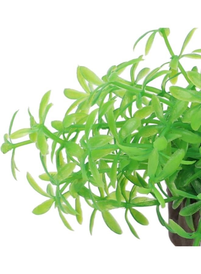 زينة حوض السمك من نباتات مائية بلاستيكية وعشب مائي - Image 5