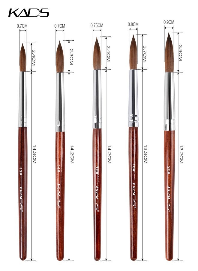 KADS Kolinsky Sable Acrylic Nail Art Brush Red Wood Pen Nail Brush Size 12# 14# 16# 18# 20# Nail Art Manicure Tool Set - Image 2