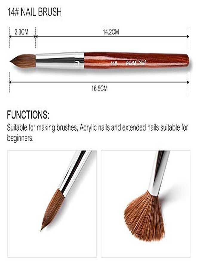 KADS Kolinsky Sable Acrylic Nail Art Brush Red Wood Pen Nail Brush Size 12# 14# 16# 18# 20# Nail Art Manicure Tool Set - Image 5