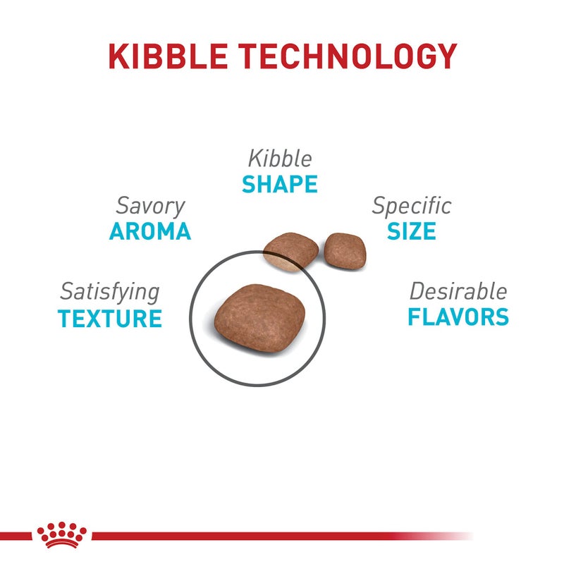 Royal Canin Feline Care Nutrition Urinary Care Adult Dry Cat Food, 3 lb Bag - Image 2