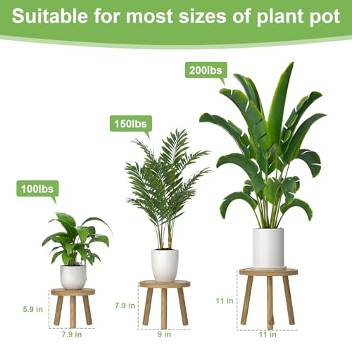 Vecxoty 3Pack Wood Plant Stands Indoor Single Plant Stand for 612 Inch Pots MidCentury Modern Plant Stool Tall Plant Stand for Large Plants for Living Room Balcony Office Light Brown - Image 3