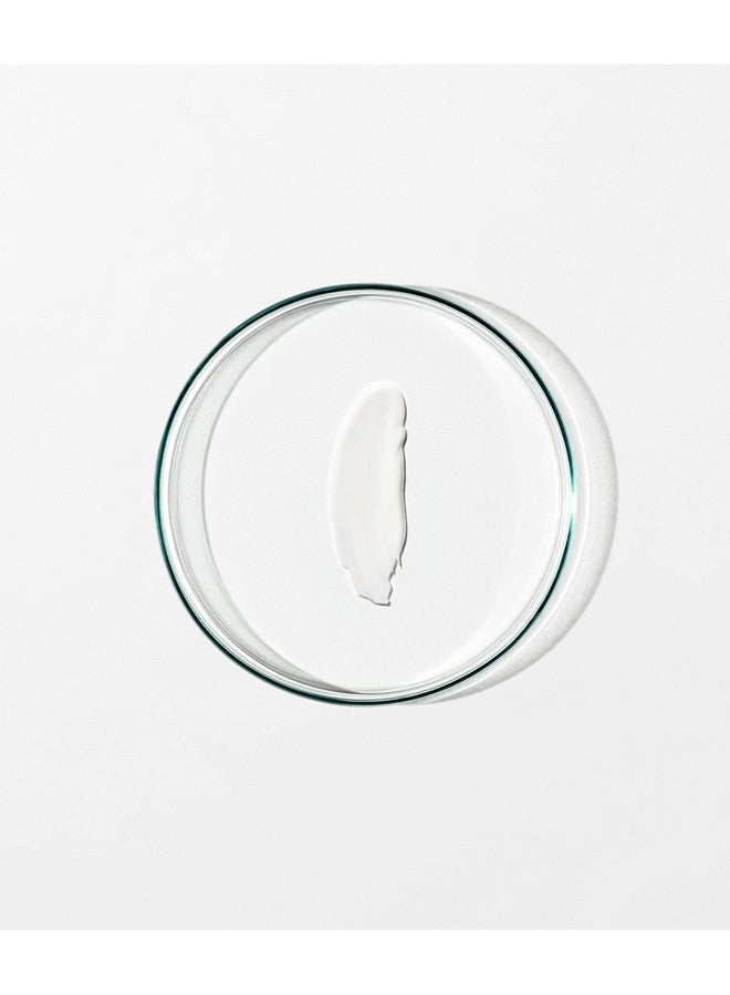 Grown Alchemist Skin Renewal Day Cream Anti Aging Face Moisturizer For Women & Men Face Moisturizer With Reishi Extract Moringa Peptides And Antioxidants (65Ml) - Image 2