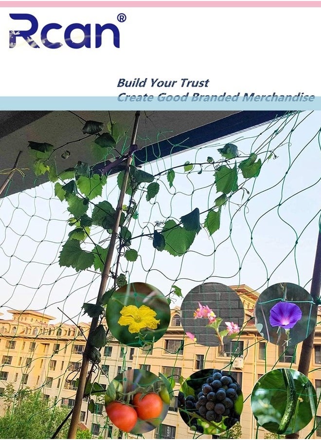 Rcan Netting for Climbing Plants 1.8 x 1.8M Heavy Duty Garden Trellis Netting for Cucumber Vine Fruits Vegetables Tomato Plants Trellis Net Climbing Vining Plants  - Image 4