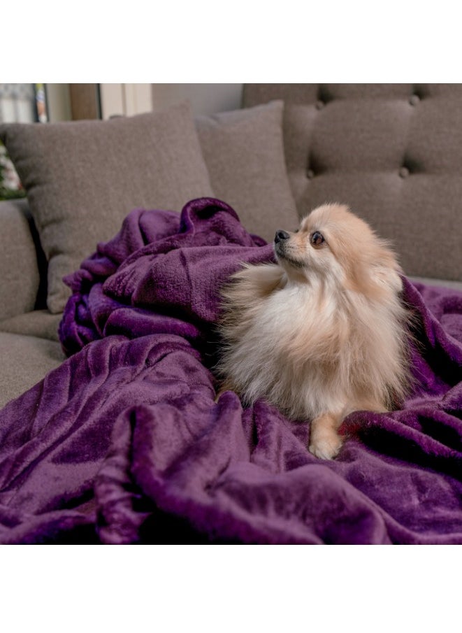 Mintra Lightweight Blanket 250 GSM Extra Soft Premium Microfiber Bed and Sofa Throw in Purple - Size 130x152cm  - Image 3