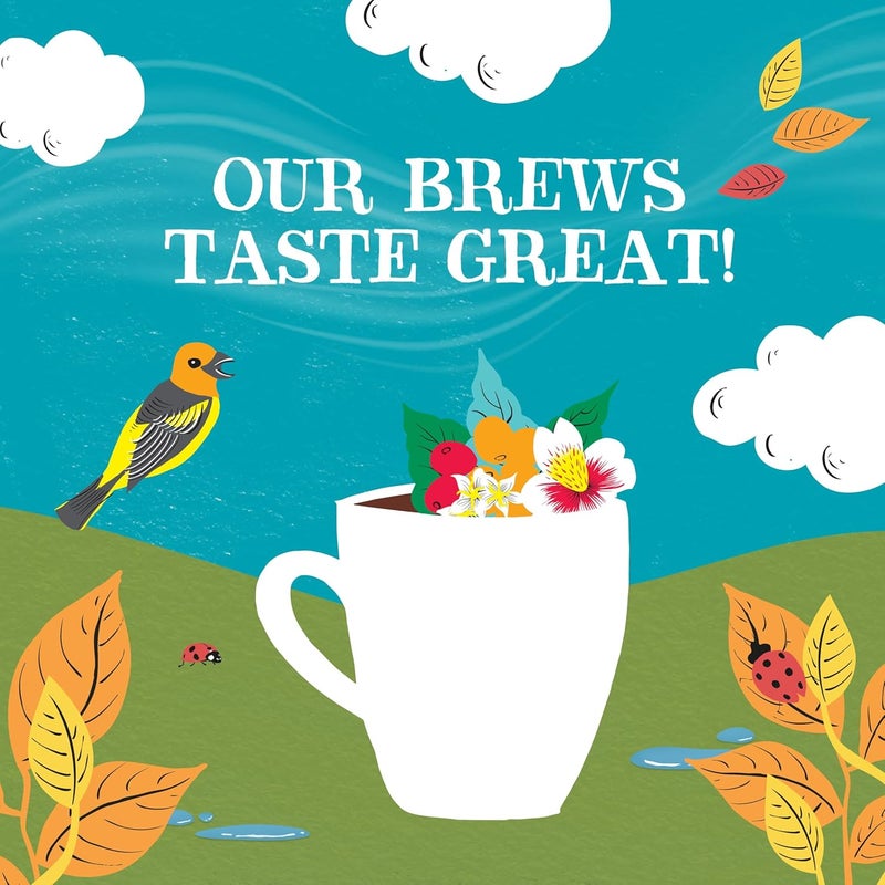 Clipper قهوة كلipper العضوية من أمريكا اللاتينية بدون كافيين - تحميص متوسط، 100 جرام - Image 4