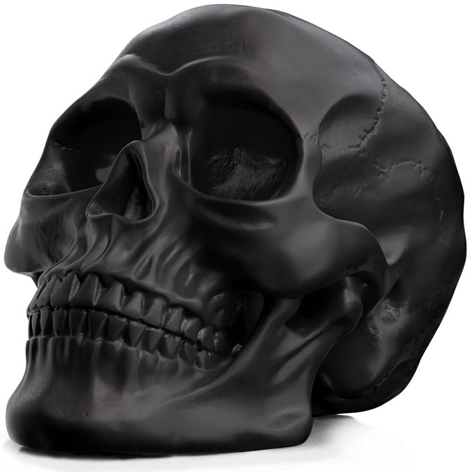 READAEER Resin Skull Human Head Model for Home Decoration Halloween Statue Skull Model for Bookshelf and Desktop Black