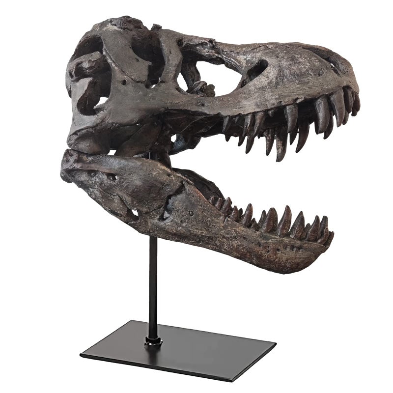 pombconw pombconw T Rex Skull Dinosaur Statue Resin Replica Head Sculptures Home Office Decorations on Shelf Table Desk Bookshelf Birthday Party Gift for Kids and Adults118 inch 
