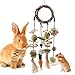 Bissap Bunny Chew Toy Rabbits Cage Hanging Chew Toys and Treats Grapevine Wreaths Rattan Ring with Snacks for Guinea Pigs Chinchillas Hamsters Rats and Other Small Pets Teeth Grinding - Image 3